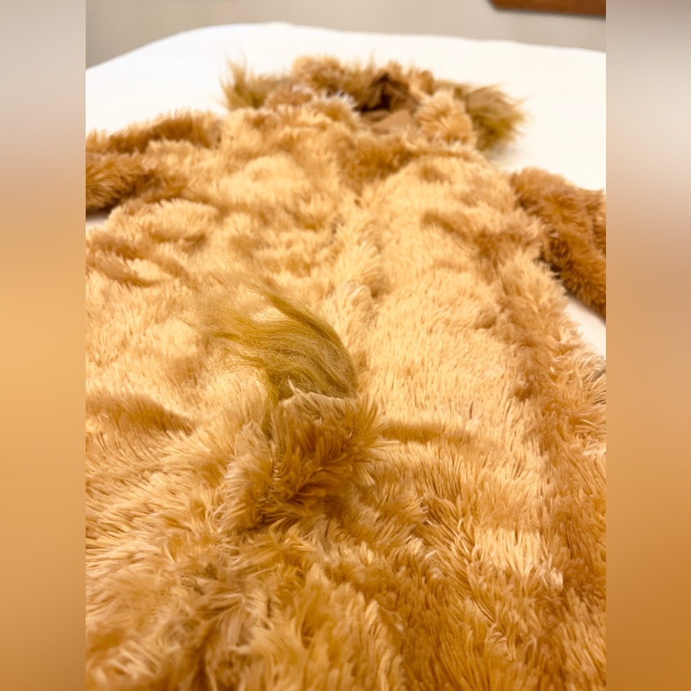 Lion Cub 🦁 NWOT - Picture 7 of 7